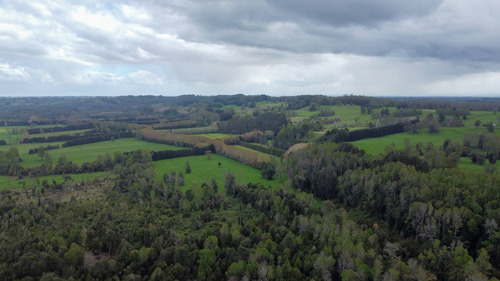 Campo En La Unión Cercano Al Lago Ranco 27,4 Hectáreas