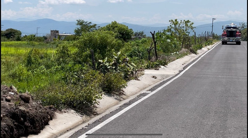 Imagen 6 de 7 de Pedregal San Juan Tlayacapan Morelos