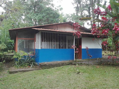 Imagen 4 de 14 de Quinta (3.2ha) Cabaña, Piscina Con Deck, Rancho Y Cabinas.
