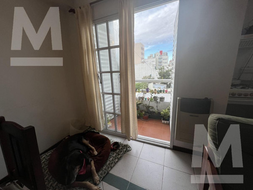 Imagen 11 de 12 de Departamento - La Plata