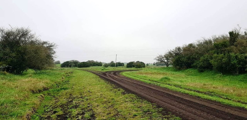 Imagen 6 de 21 de Campo En General Madariaga-