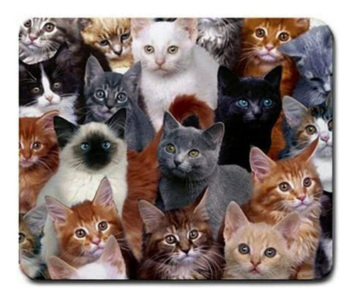 Mouse Pad Gatos, Antideslizante, Premium, Oficina, Ordenador