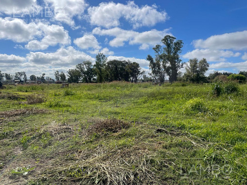 Venta Lote Terreno Pilar Pilar Del Este Santa Sofia