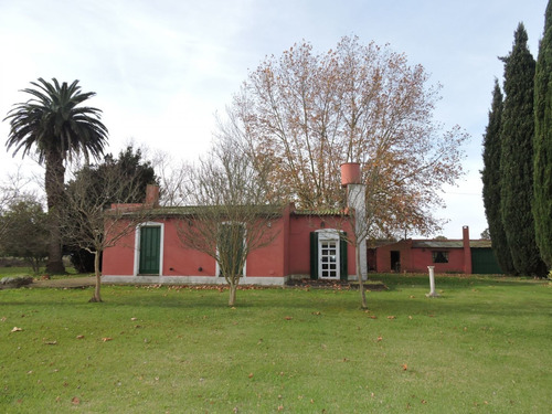 Imagen 5 de 17 de 3,6 Ha Casa Quinta En Veronica Con Galpon Y Local Comercial