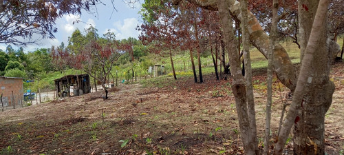 Vendo Ou Troco Citio Com Casa 2/4 Sala Conzinha E Banheiro