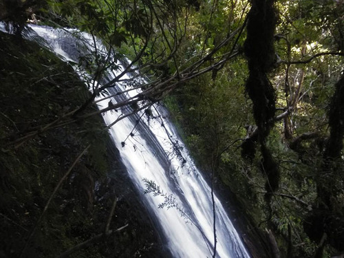 Proyecto Cascadas De Puyehue