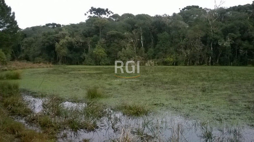 Terreno Em Primeiro Distrito - El56353457