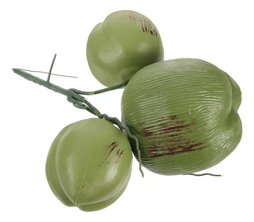 Corona De Coco Artificial Con Fruta Simulada