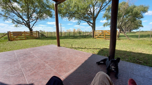Vendo Chacra Campo 3 Ha Roque Perez