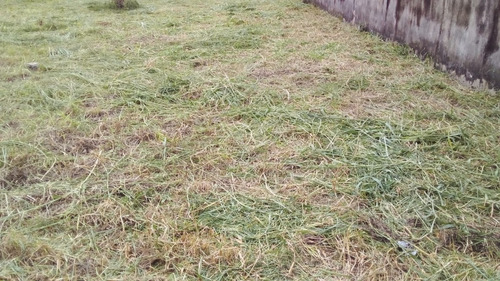 Terreno Sem Nada Construido .