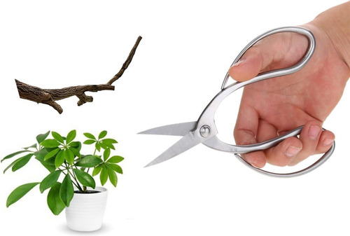 Tijeras D/podar Ciglow Herramientas Profesional P/bonsai