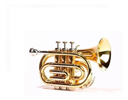 Trompeta Pocket Lincoln Winds Con Estuche Jytr-1406 Dorada