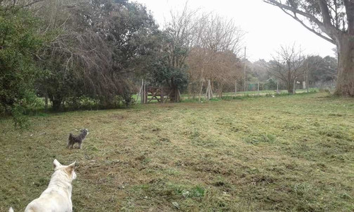 Imagen 5 de 7 de Venta Lote Lezica Y Torrezuri