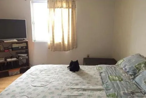 Vendo Casa En Balankan 461 Colonia Pedregal De San Nicolas, Tlalpan Ciudad De México Vd