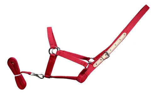comprar Cabresto Vermelho Para Cavalo Quarto De Milha Com Regulagem
