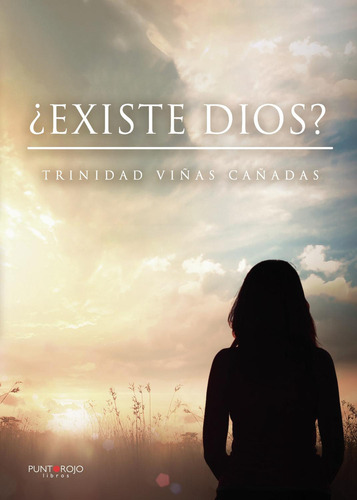 Existe Dios?, de Viñas Cañadas , Trinidad.., vol. 1. Editorial Punto Rojo Libros S.L., tapa pasta blanda, edición 1 en español, 2020