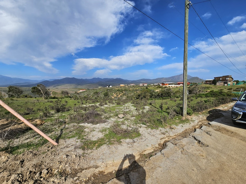 Terreno 5000 Mts.2 Quilimari 4ta Region , Pichidangui.