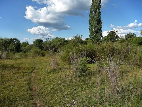 Vendo Dos Terrenos - 1000 M2 C/u En San Luis - Dueño Directo
