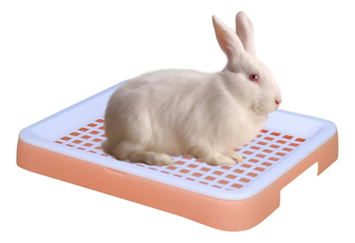 Caja De Arena Para Conejos, Cobayas, Arenero Para Hurones,