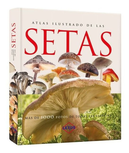 Atlas Ilustrado De Las Setas / Lexus