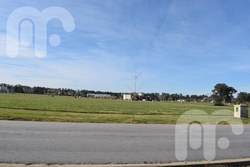 Imagen 6 de 13 de Venta Lote Area 60