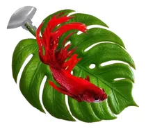 Comprar Folha Para Betta Cama Descanso Aquário Beteira Decorativo