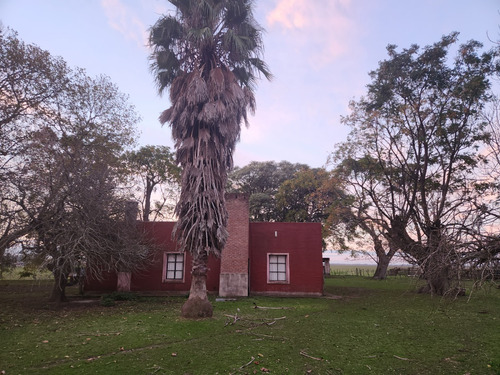 Imagen 4 de 8 de Alquilo Campo Ganadero Sobre Ruta 11 Con Casa Y Mejoras, 15 Min Del Centro De La Plata.