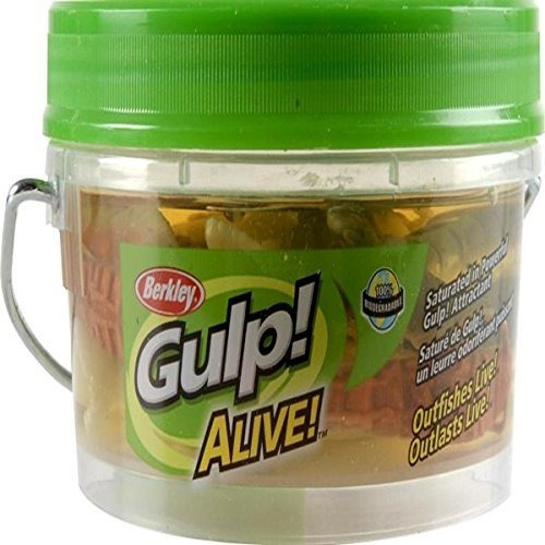 Berkley Gulp ¡viva Surtido De Camarones 3 Pulgadas | 8 Cm C