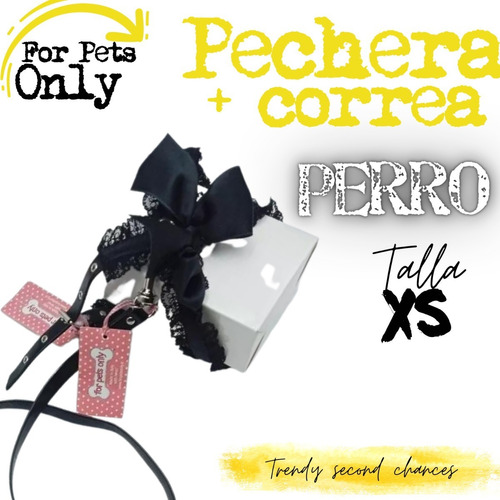 Pechera + Correa Moño Encaje Negro Perro Xs La Segunda Bazar