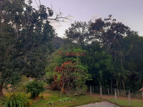 Imagem 29 de 30 de Fazenda Com 1milhão De M² No Vale Alpino. - Fa00024 - 69449575