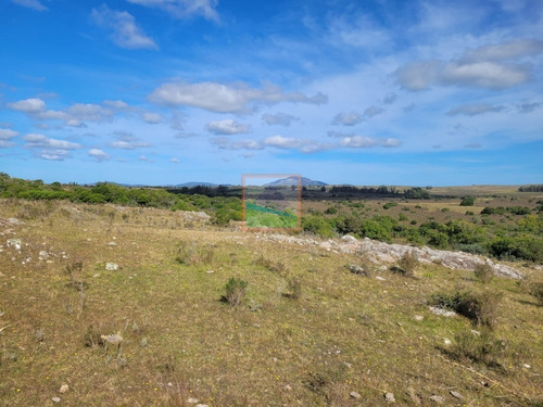 Imagen 13 de 22 de Campo Turístico 145hás En Zona De Pan De Azúcar