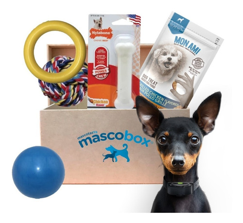 Mascobox Kit Mordelon Juguetes Hueso Perros Adulto Peq Y Med