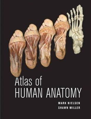 Atlas Of Human Anatomy - Mark Nielsen