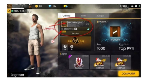 1060+106 Diamantes Free Fire