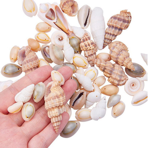 Da Marinas Beach Conch Beads Charms Tank Filler