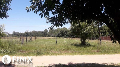Imagen 2 de 7 de Tf548 - Z/ Ituzaingó, Corrientes. Lotes En Venta.