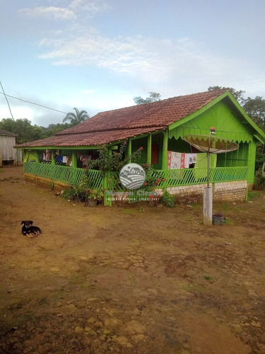 Imagem 3 de 9 de Venda Sítio Machadinho D'oeste Em Rondônia - Sia348