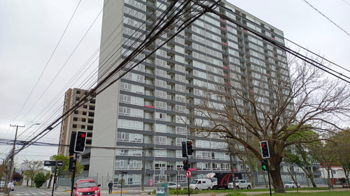 Arriendo Departamento 2 Dormitorios M.rodriguez 140 Concep
