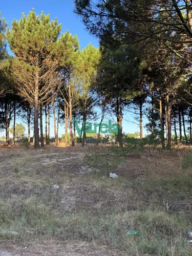 Terrenos En Venta Financiados Últimos En Montes De Solymar