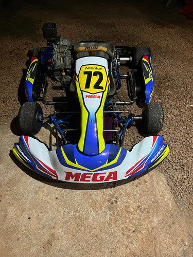 Kart Mini Com Motor Búfalo 15 Hp Todo Revisados Só Acelerar
