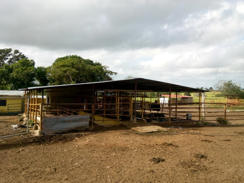 Imagen 8 de 27 de Se Vende Finca En Caicara De Maturin Sec Bajo Gde Ve02-1143cai-mtru