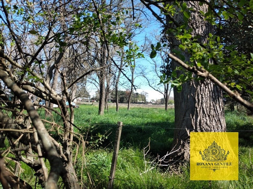 Imagen 8 de 8 de Vendo Excepcionales Lotes En Desvío Aguirre! Excelente Vista Y Tranquilidad A Minutos De Tandil