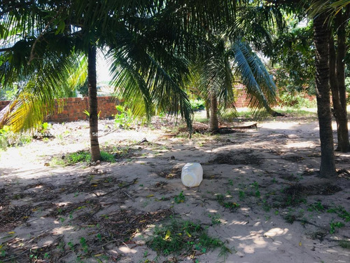 Chácara Para Venda Em Natal, Redinha - Terreno + Casas Em Via Pública, 3 Dormitórios, 1 Suíte, 2 Banheiros, 10 Vagas - Ter-1503-_2-1072822