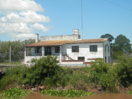 Estancia Isla Vizcaino 1569ha Ganadero Agricola Rio Negro Y Rio Uruguay