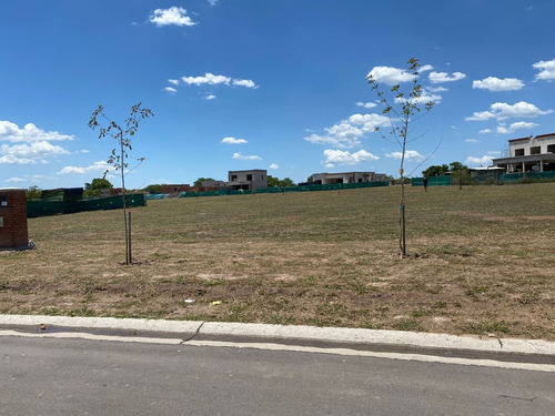 Imagen 6 de 8 de Hermoso Lote Fondo A Verde!