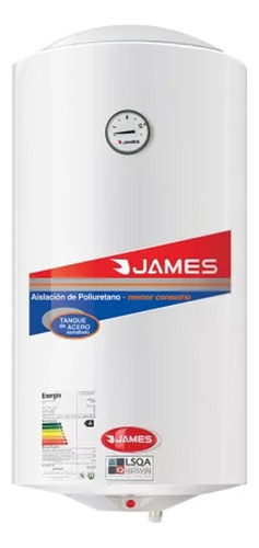 Termotanque 110 Litros Acero James 1010