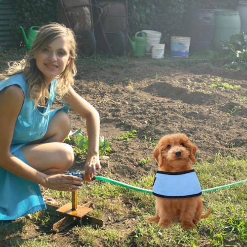 Collar Refrescante Para Perros, Bufanda De Verano Para Perro