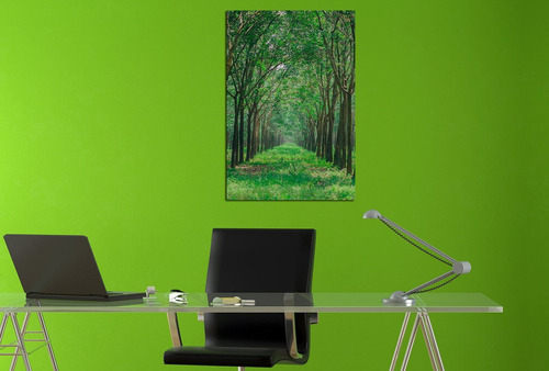 Vinilo Decorativo 40x60cm Paisaje Follaje Aire Libre M2