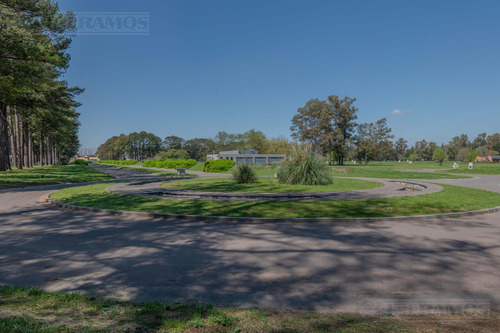 Terreno - Los Pinares C. Club