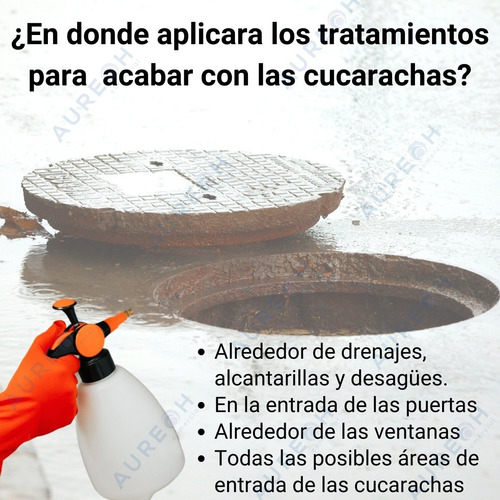 Kit Tenopa 1kg Diatomeas Aspersor 2 L Mata Elimina Insectos